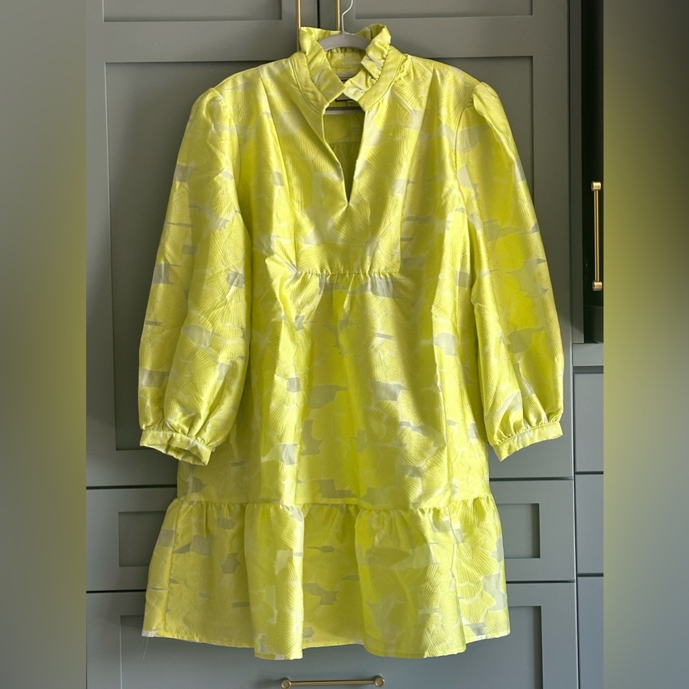 Tuckernuck - Citron Fil Coupe Palmerston Dress - XXXL